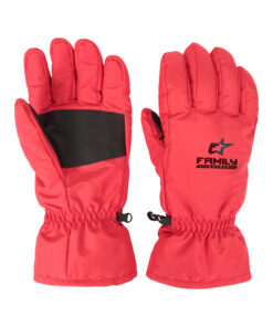Winter Gloves FL-2604
